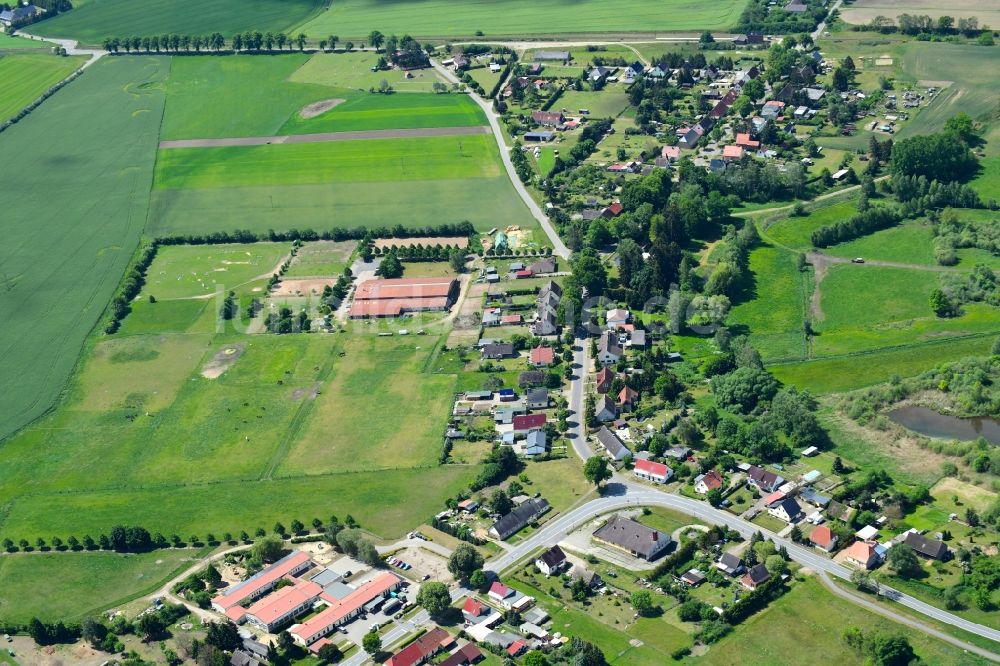 Friedrichsruhe von oben - Dorf - Ansicht am Rande von landwirtschaftlichen Feldern in Friedrichsruhe im Bundesland Mecklenburg-Vorpommern, Deutschland