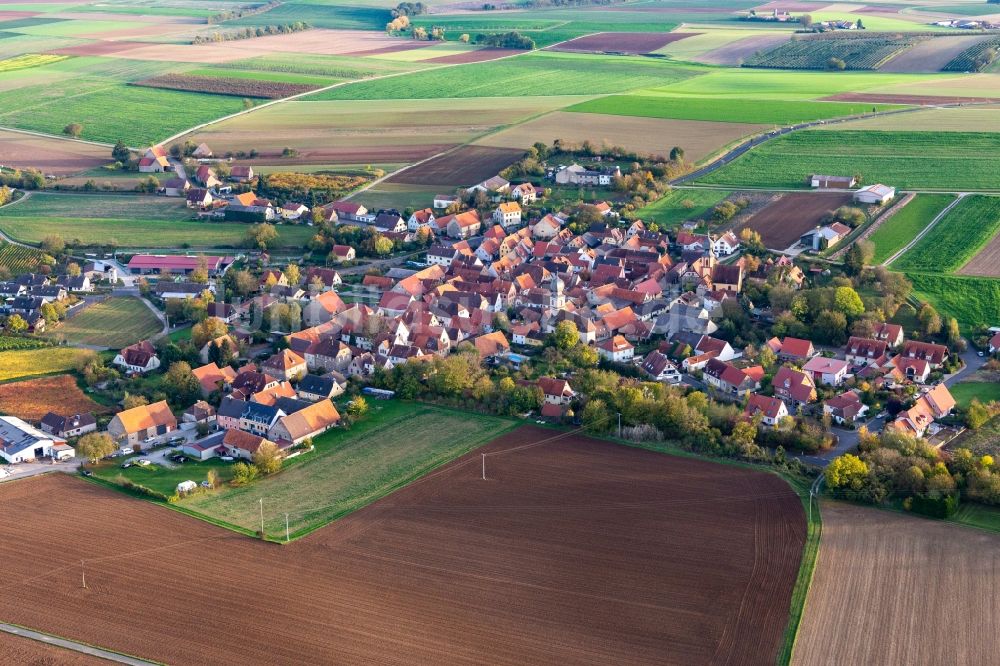 Luftaufnahme Neuses a.Berg - Dorf - Ansicht am Rande von landwirtschaftlichen Feldern in Neuses a.Berg im Bundesland Bayern, Deutschland