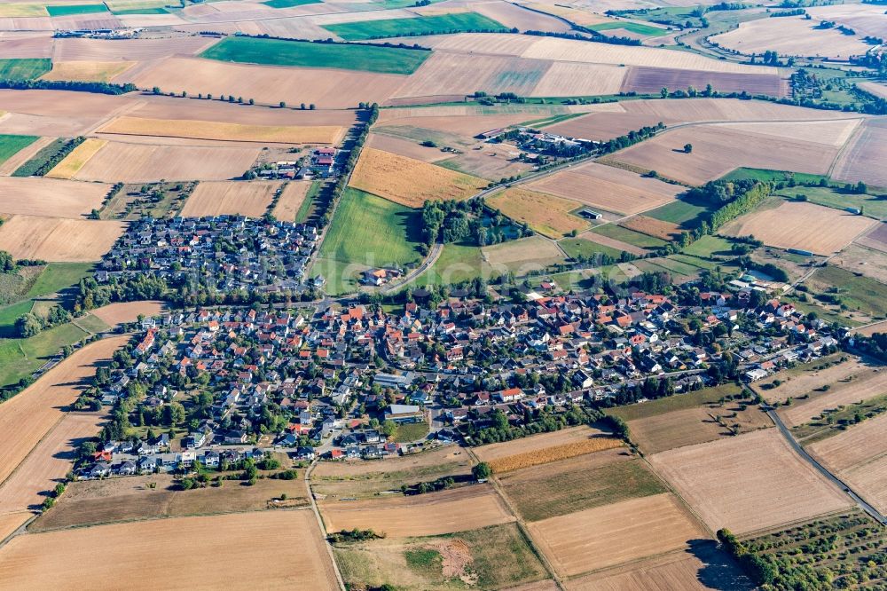Oberissigheim aus der Vogelperspektive: Dorf - Ansicht am Rande von landwirtschaftlichen Feldern in Oberissigheim im Bundesland Hessen, Deutschland