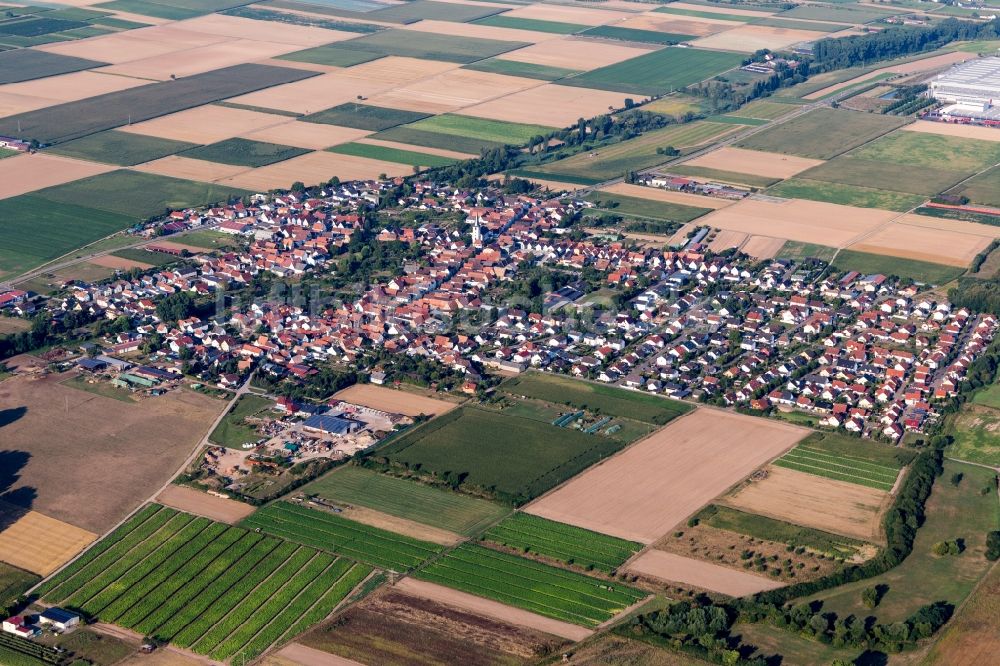 Luftaufnahme Ottersheim bei Landau - Dorf - Ansicht am Rande von landwirtschaftlichen Feldern in Ottersheim bei Landau im Bundesland Rheinland-Pfalz, Deutschland