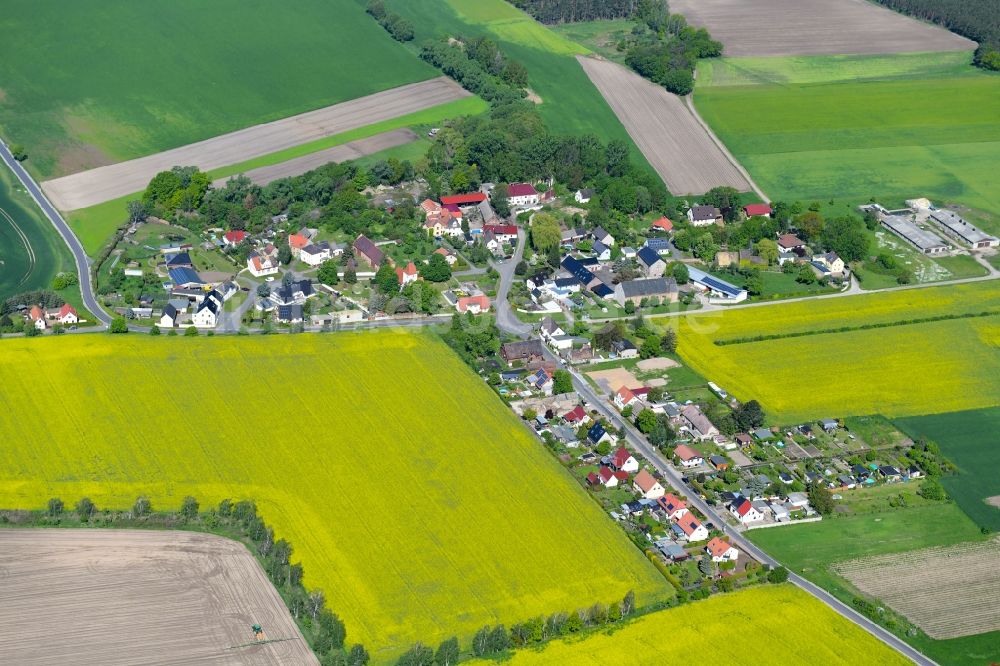 Luftbild Pressen - Dorf - Ansicht am Rande von landwirtschaftlichen Feldern in Pressen im Bundesland Sachsen, Deutschland