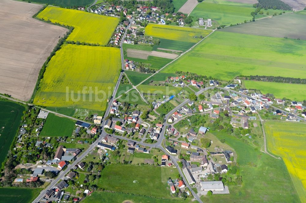 Pressen von oben - Dorf - Ansicht am Rande von landwirtschaftlichen Feldern in Pressen im Bundesland Sachsen, Deutschland