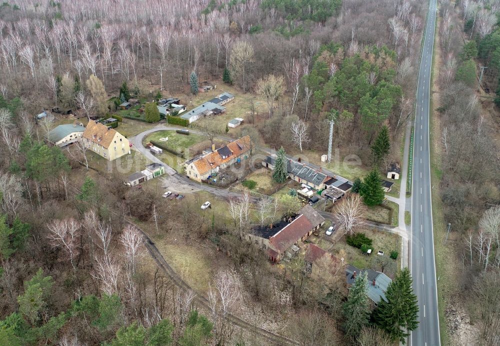 Alwine von oben - Dorf - Ansicht am Rande Waldgebieten in Alwine im Bundesland Brandenburg, Deutschland