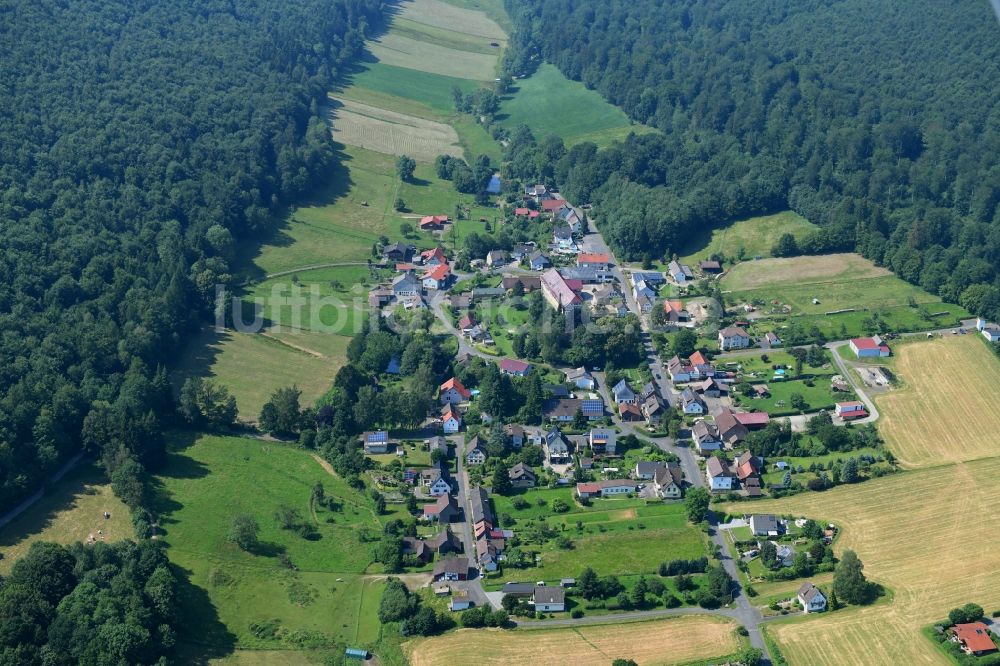 Amelith aus der Vogelperspektive: Dorf - Ansicht am Rande Waldgebieten in Amelith im Bundesland Niedersachsen, Deutschland