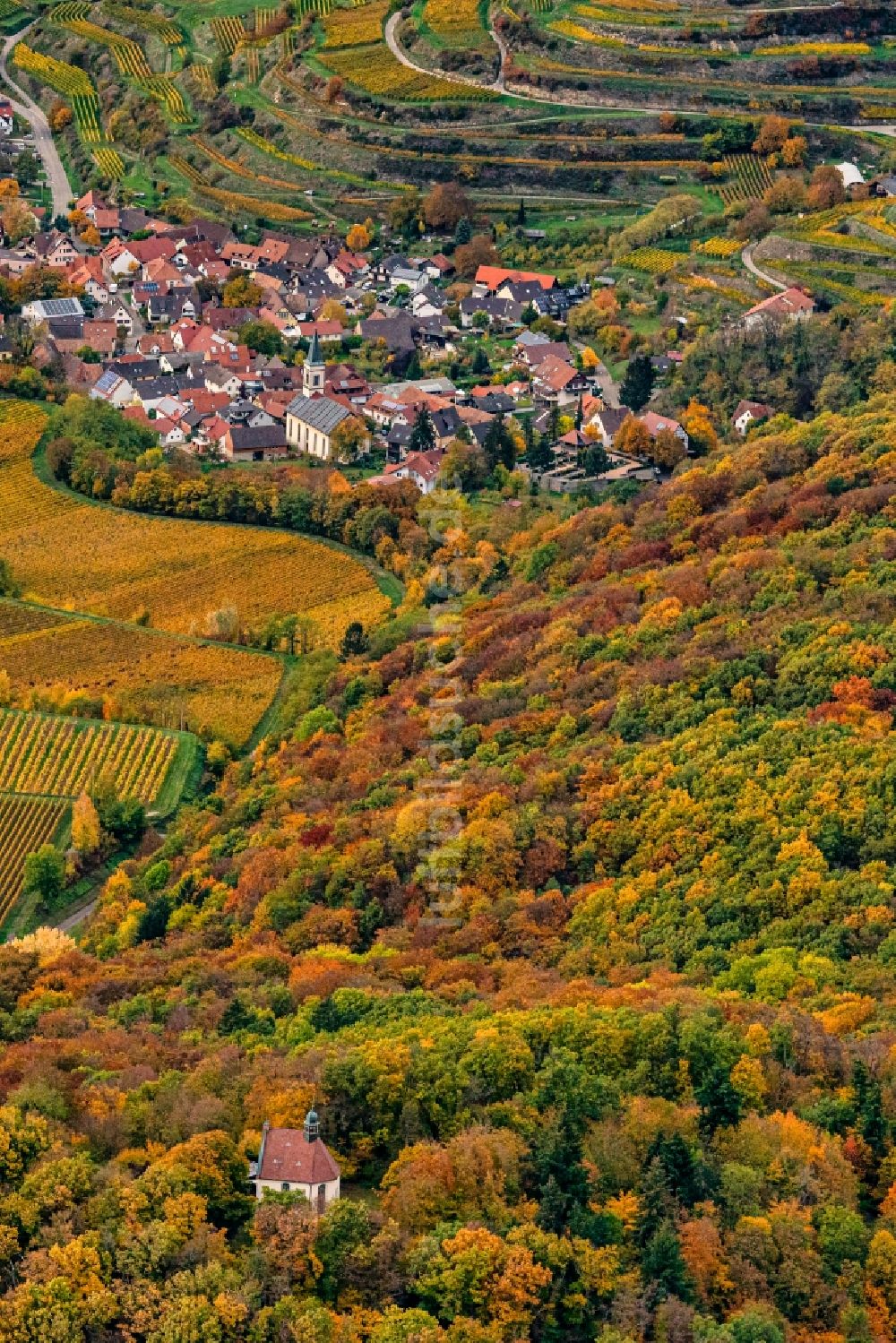 Königschaffhausen aus der Vogelperspektive: Dorf - Ansicht am Rande Waldgebieten Amoltern bei Königschaffhausen im Bundesland Baden-Württemberg, Deutschland
