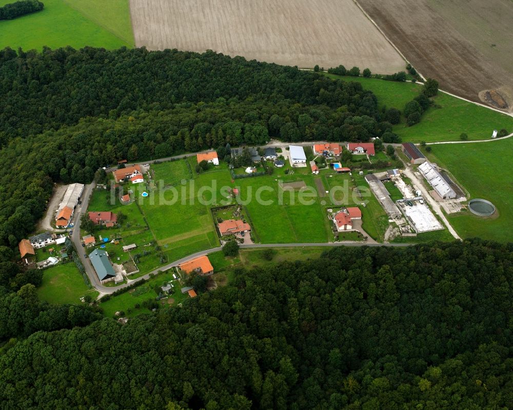 Annaberg von oben - Dorf - Ansicht am Rande Waldgebieten in Annaberg im Bundesland Thüringen, Deutschland