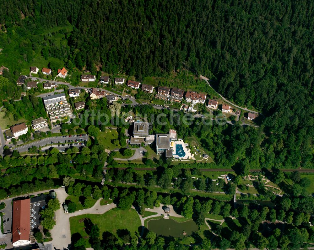 Bad Liebenzell von oben - Dorf - Ansicht am Rande von Waldgebieten in Bad Liebenzell im Bundesland Baden-Württemberg, Deutschland