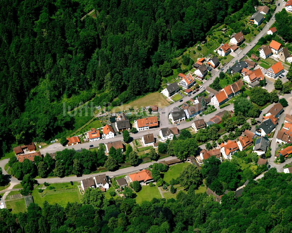 Bad Niedernau von oben - Dorf - Ansicht am Rande von Waldgebieten in Bad Niedernau im Bundesland Baden-Württemberg, Deutschland
