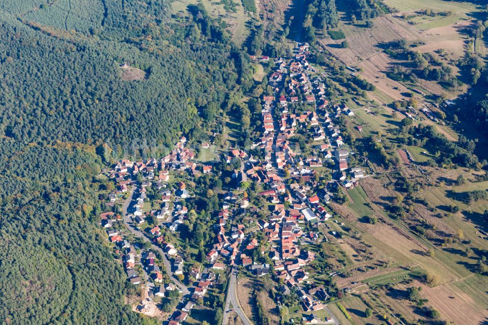 Luftbild Birkenhördt - Dorf - Ansicht am Rande von Waldgebieten in Birkenhördt im Bundesland Rheinland-Pfalz, Deutschland