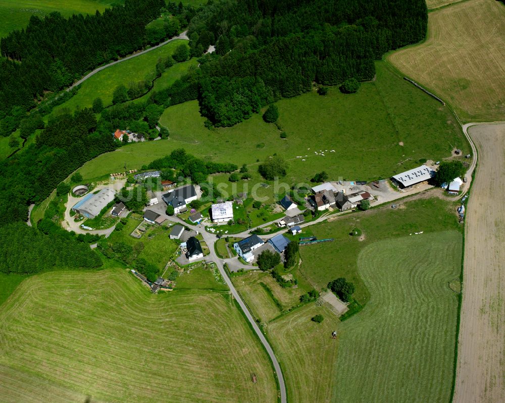 Luftbild Bollwerk - Dorf - Ansicht am Rande von Waldgebieten in Bollwerk im Bundesland Nordrhein-Westfalen, Deutschland