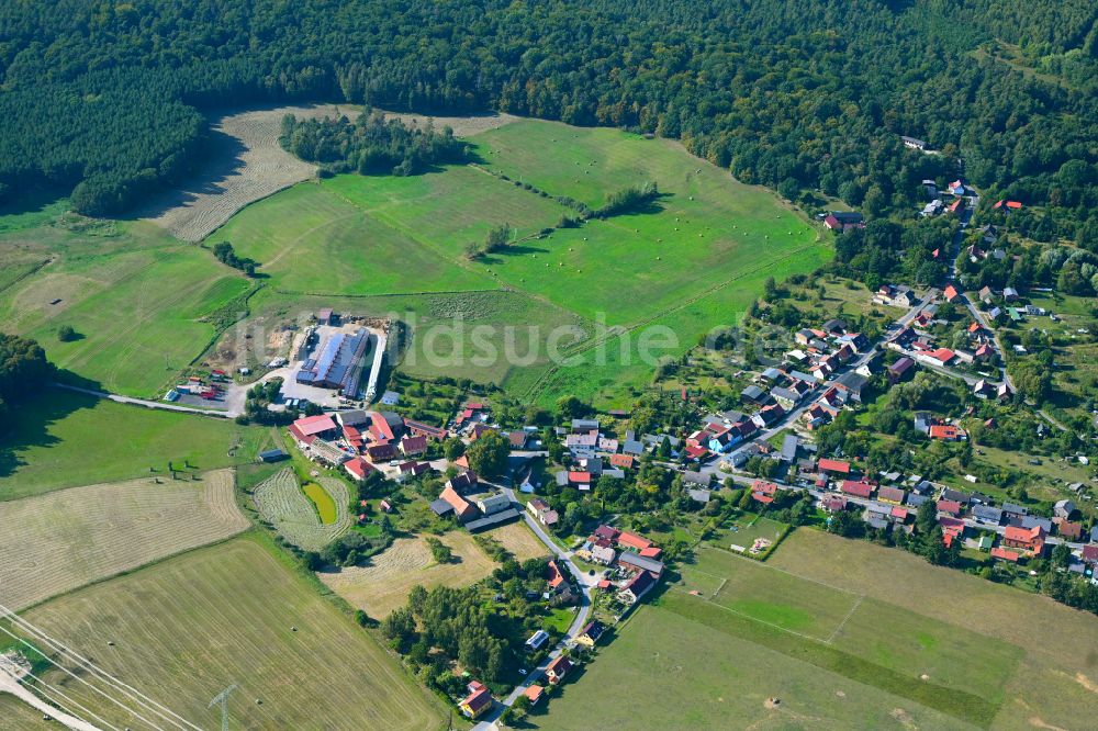 Chorin von oben - Dorf - Ansicht am Rande von Waldgebieten in Chorin im Bundesland Brandenburg, Deutschland