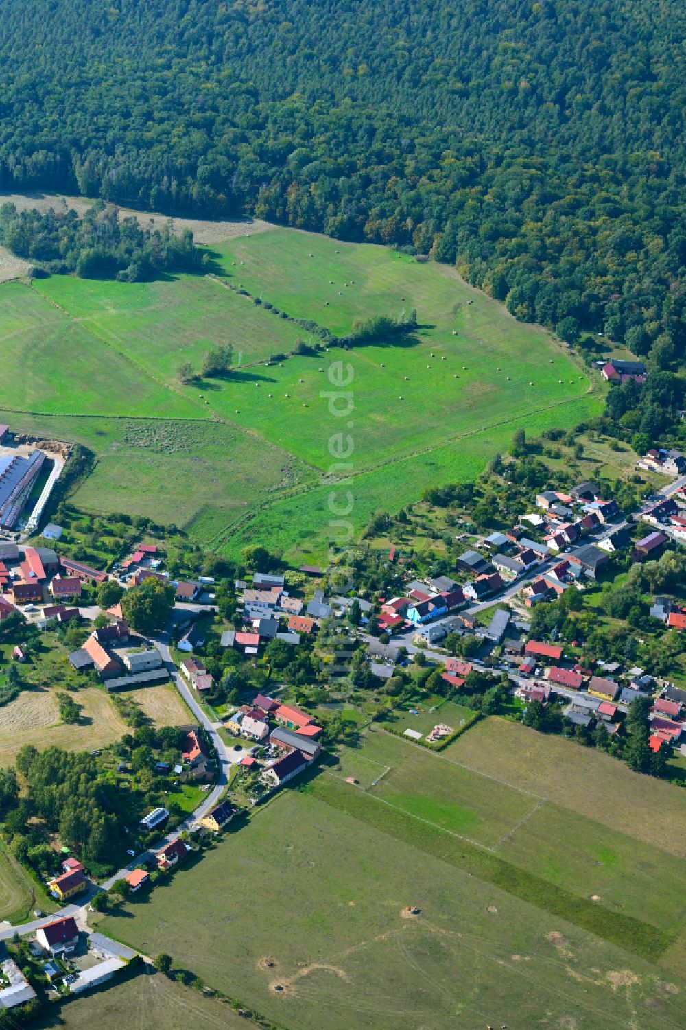 Chorin aus der Vogelperspektive: Dorf - Ansicht am Rande von Waldgebieten in Chorin im Bundesland Brandenburg, Deutschland