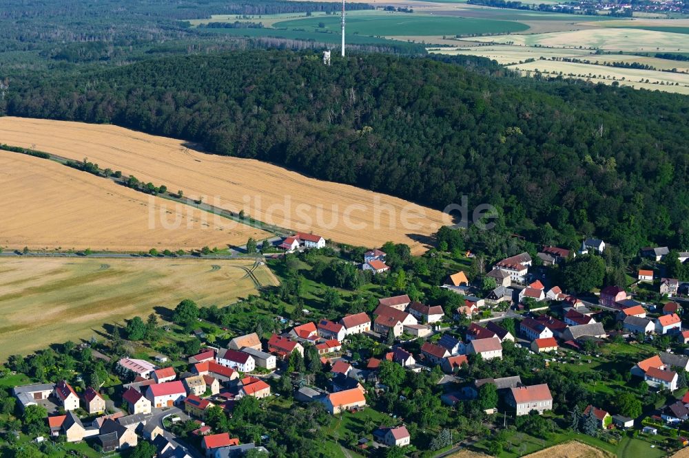 Luftaufnahme Collm - Dorf - Ansicht am Rande Waldgebieten in Collm im Bundesland Sachsen, Deutschland