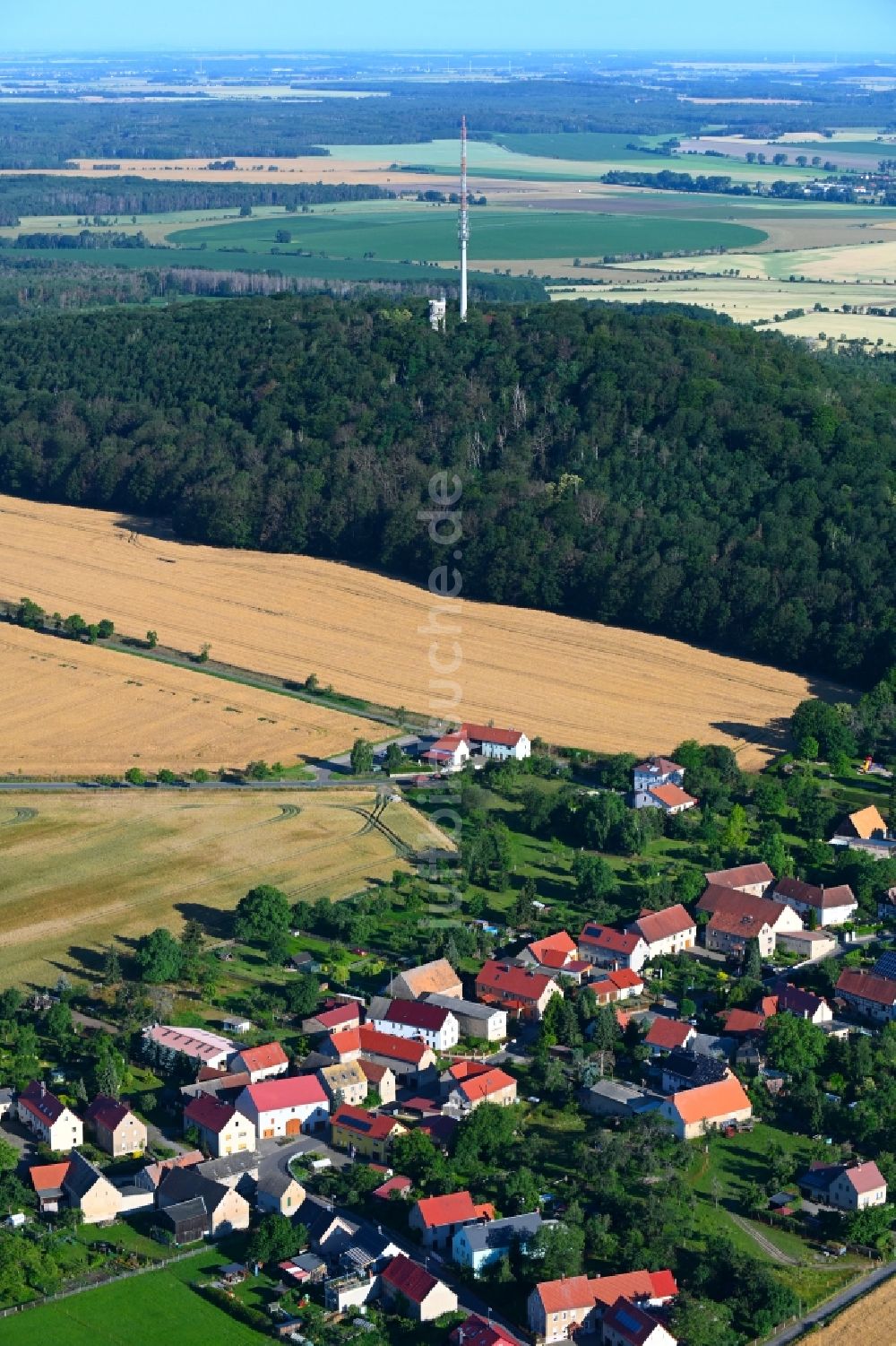 Collm von oben - Dorf - Ansicht am Rande Waldgebieten in Collm im Bundesland Sachsen, Deutschland