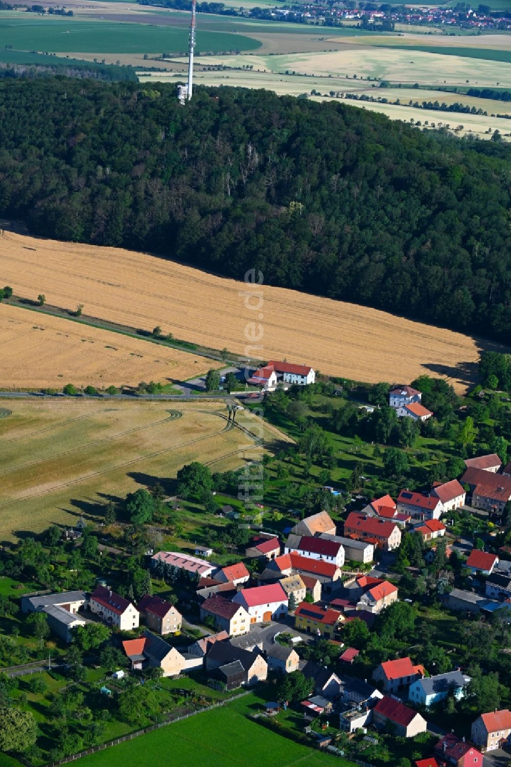 Collm aus der Vogelperspektive: Dorf - Ansicht am Rande Waldgebieten in Collm im Bundesland Sachsen, Deutschland