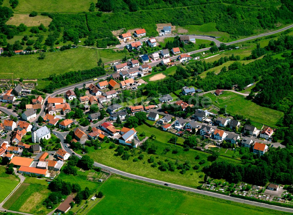 Dielkirchen von oben - Dorf - Ansicht am Rande von Waldgebieten in Dielkirchen im Bundesland Rheinland-Pfalz, Deutschland