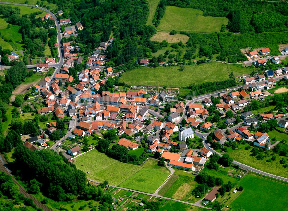 Dielkirchen aus der Vogelperspektive: Dorf - Ansicht am Rande von Waldgebieten in Dielkirchen im Bundesland Rheinland-Pfalz, Deutschland