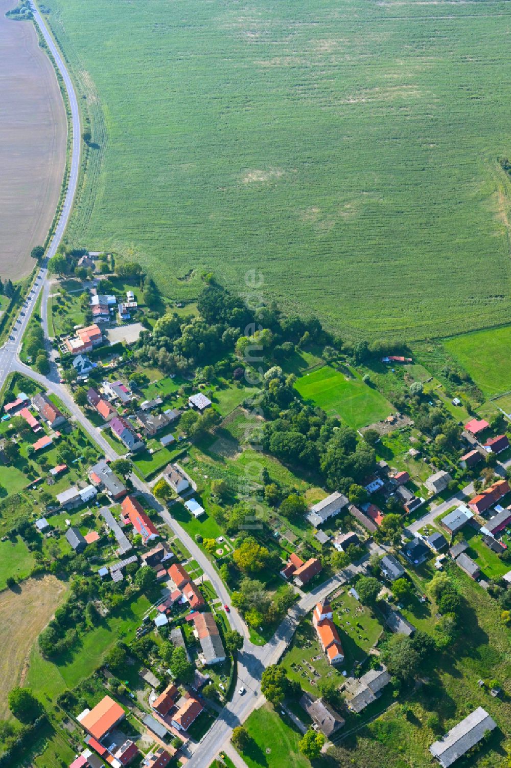 Felchow aus der Vogelperspektive: Dorf - Ansicht am Rande von Waldgebieten in Felchow im Bundesland Brandenburg, Deutschland