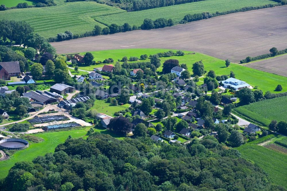 Luftbild Geel - Dorf - Ansicht am Rande Waldgebieten in Geel im Bundesland Schleswig-Holstein, Deutschland