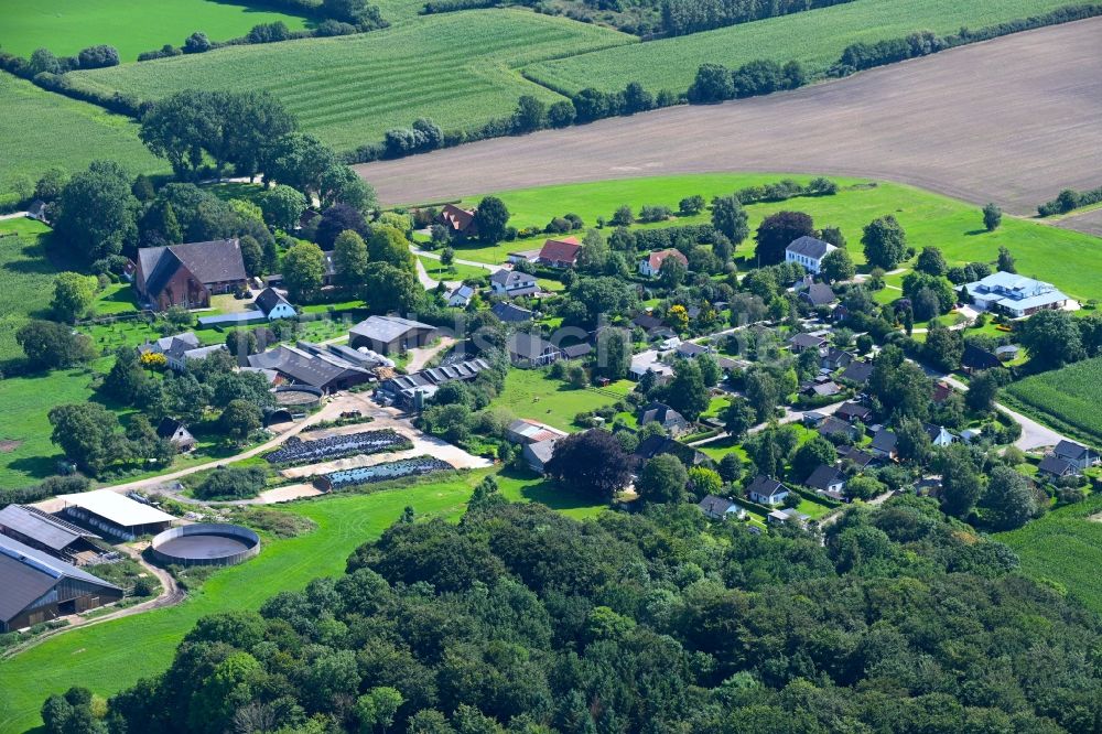 Luftaufnahme Geel - Dorf - Ansicht am Rande Waldgebieten in Geel im Bundesland Schleswig-Holstein, Deutschland