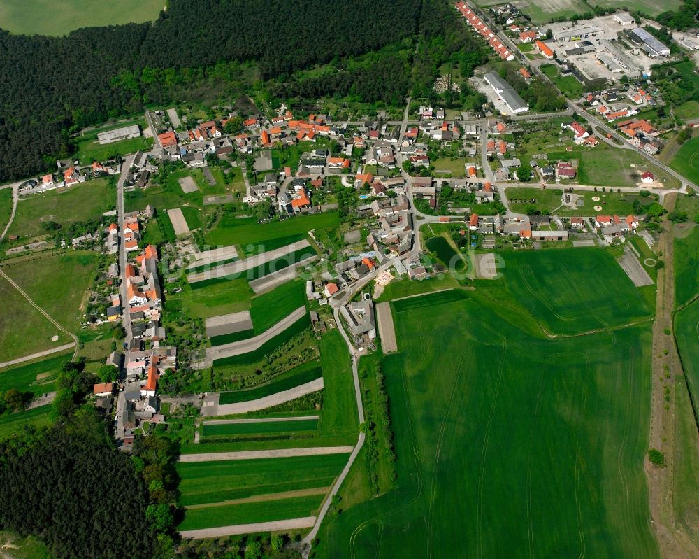 Luftbild Gohrau - Dorf - Ansicht am Rande Waldgebieten in Gohrau im Bundesland Sachsen-Anhalt, Deutschland