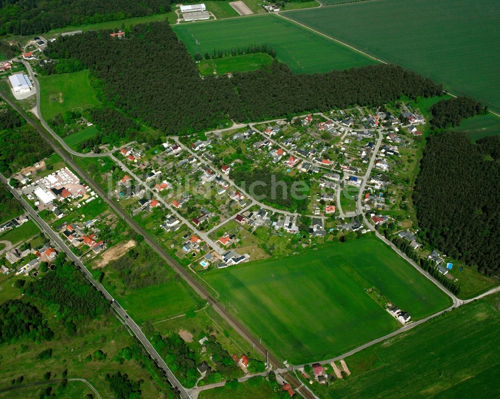 Luftaufnahme Griebo - Dorf - Ansicht am Rande Waldgebieten in Griebo im Bundesland Sachsen-Anhalt, Deutschland