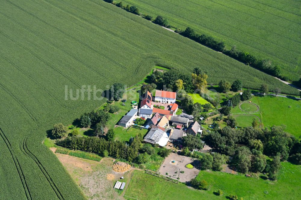 Groitzsch von oben - Dorf - Ansicht am Rande von Waldgebieten in Groitzsch im Bundesland Sachsen, Deutschland