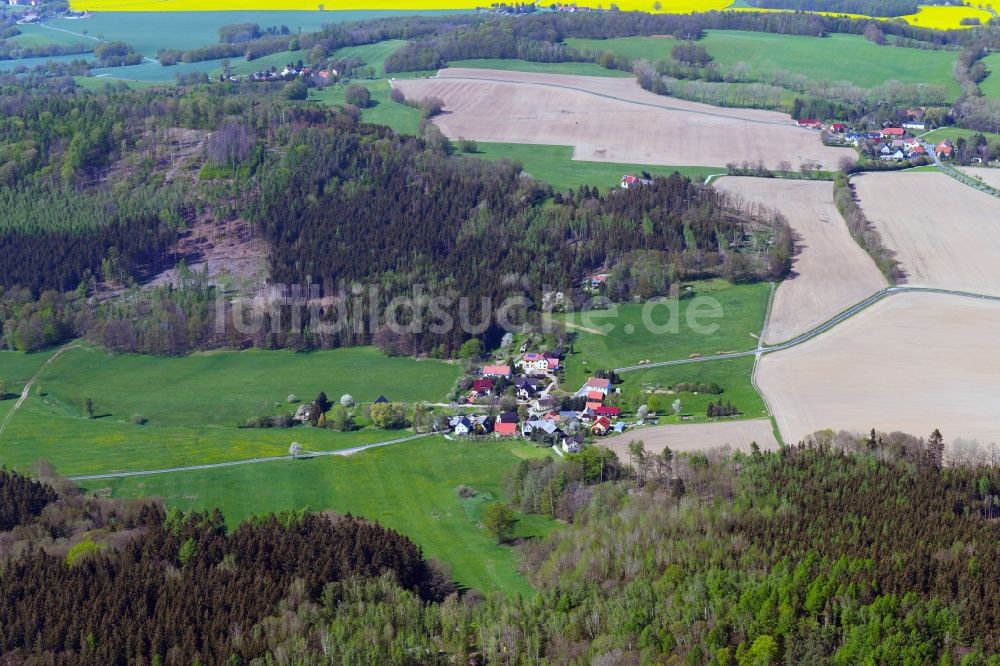 Luftbild Großkunitz - Dorf - Ansicht am Rande Waldgebieten in Großkunitz im Bundesland Sachsen, Deutschland