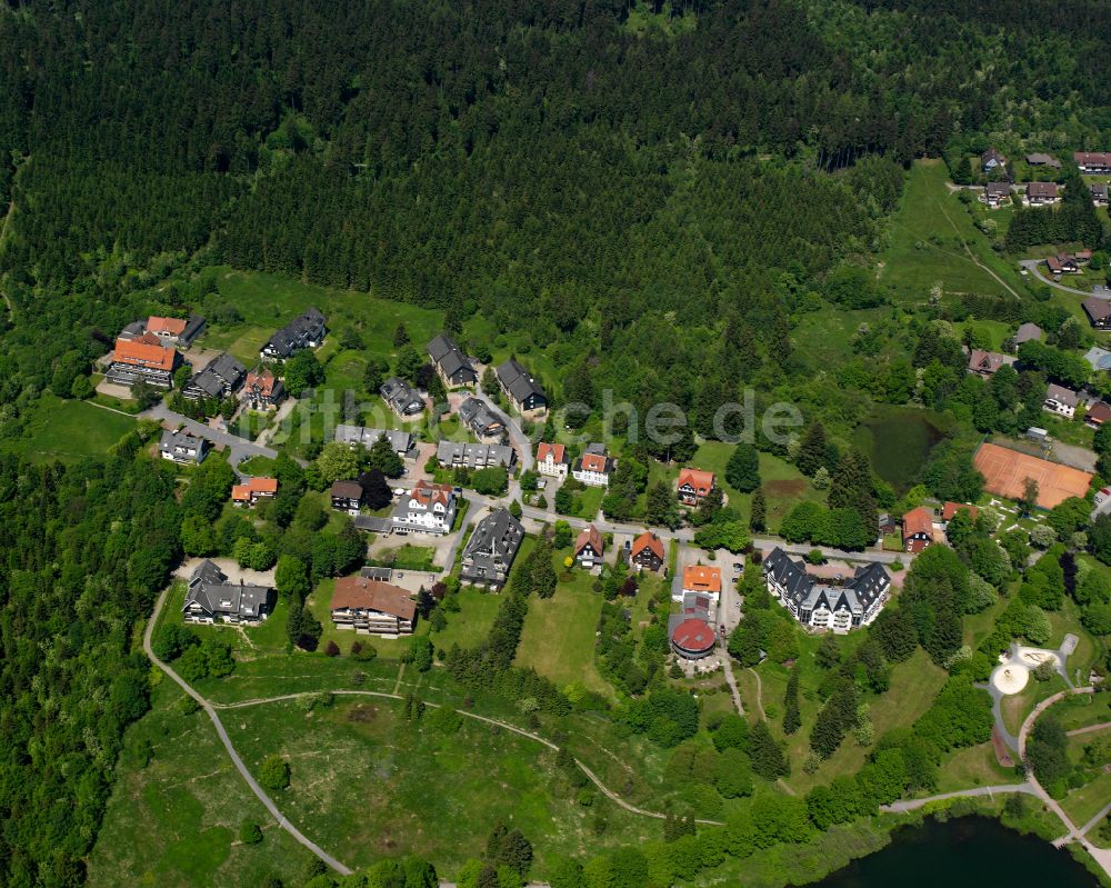 Luftaufnahme Hahnenklee-Bockswiese - Dorf - Ansicht am Rande von Waldgebieten in Hahnenklee-Bockswiese im Bundesland Niedersachsen, Deutschland