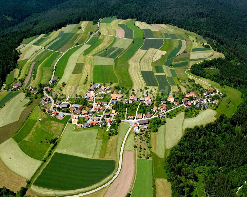 Luftbild Hornberg - Dorf - Ansicht am Rande von Waldgebieten in Hornberg im Bundesland Baden-Württemberg, Deutschland