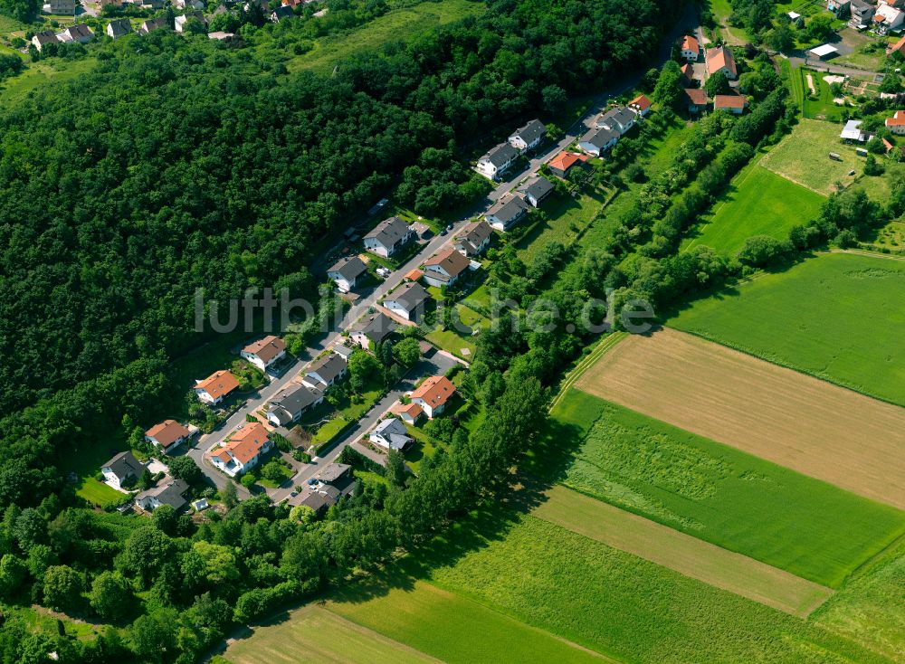 Imsweiler aus der Vogelperspektive: Dorf - Ansicht am Rande von Waldgebieten in Imsweiler im Bundesland Rheinland-Pfalz, Deutschland