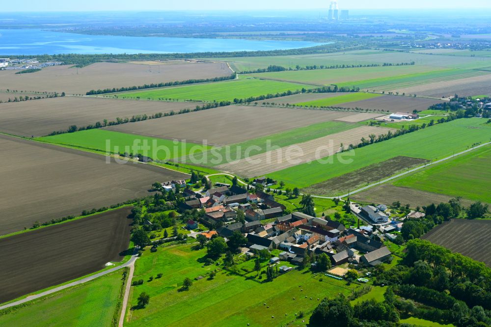 Kitzen aus der Vogelperspektive: Dorf - Ansicht am Rande von Waldgebieten in Kitzen im Bundesland Sachsen, Deutschland