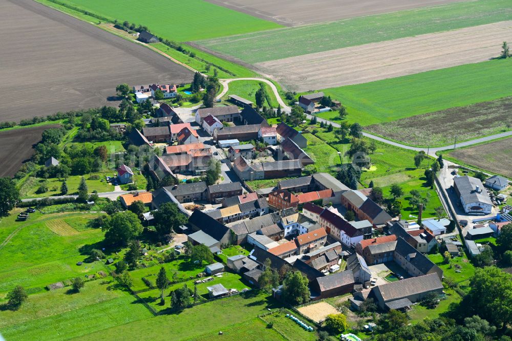 Luftbild Kitzen - Dorf - Ansicht am Rande von Waldgebieten in Kitzen im Bundesland Sachsen, Deutschland