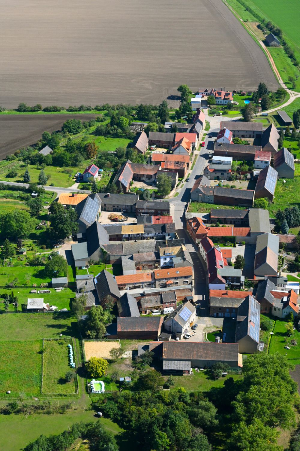 Luftaufnahme Kitzen - Dorf - Ansicht am Rande von Waldgebieten in Kitzen im Bundesland Sachsen, Deutschland