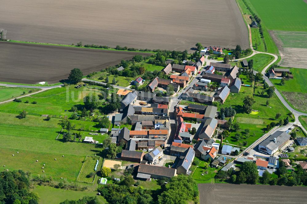 Kitzen von oben - Dorf - Ansicht am Rande von Waldgebieten in Kitzen im Bundesland Sachsen, Deutschland