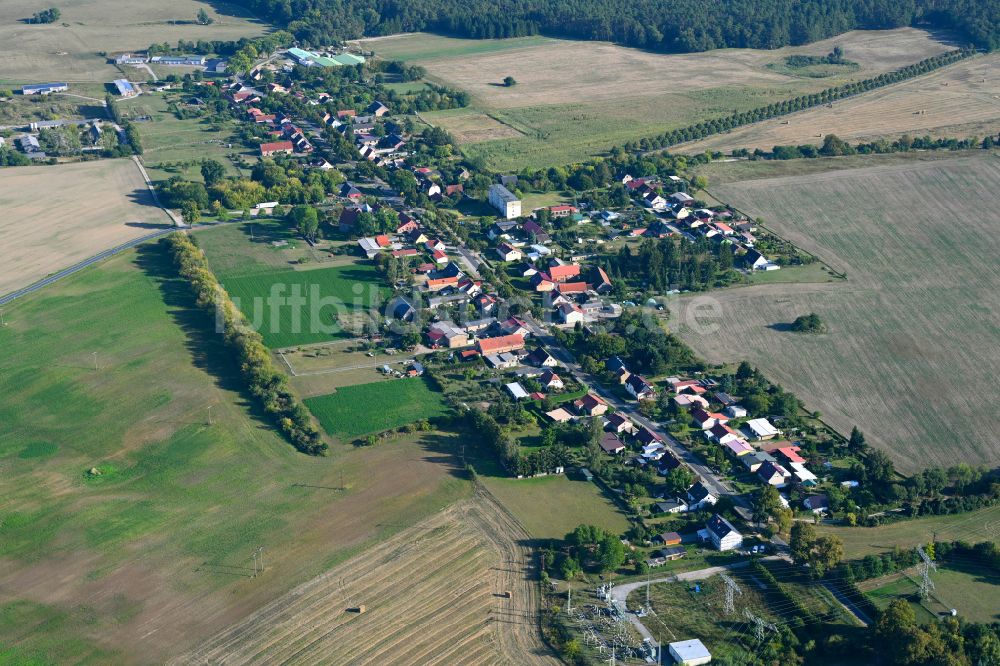 Luftaufnahme Klosterwalde - Dorf - Ansicht am Rande von Waldgebieten in Klosterwalde im Bundesland Brandenburg, Deutschland