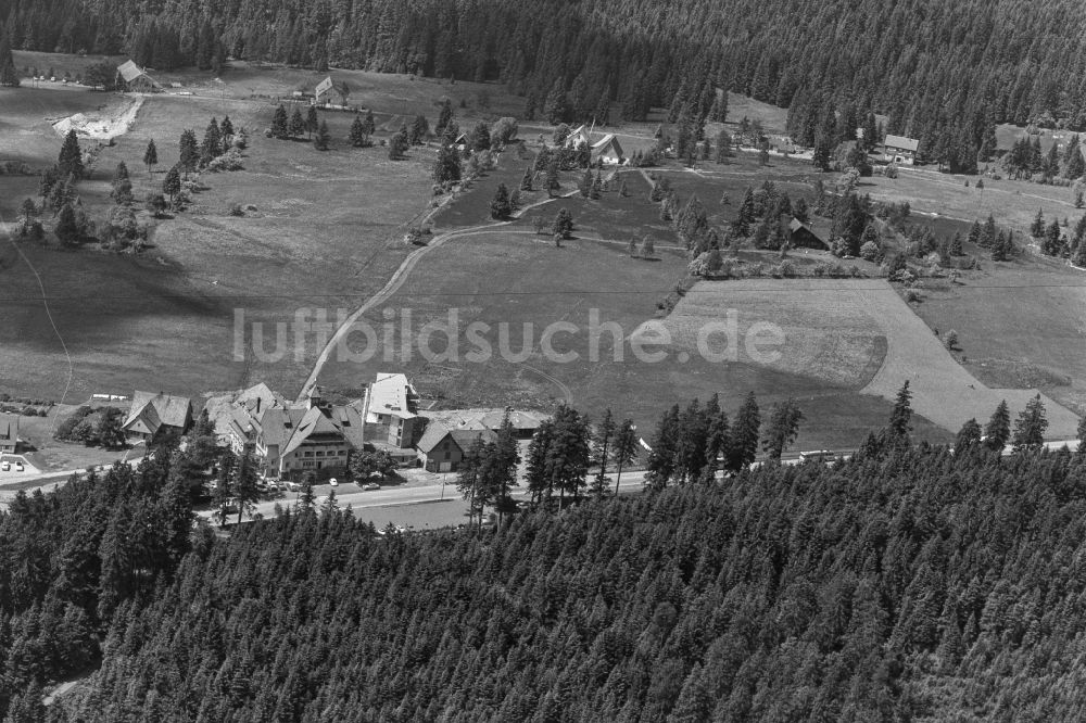 Kniebis von oben - Dorf - Ansicht am Rande Waldgebieten in Kniebis im Bundesland Baden-Württemberg, Deutschland