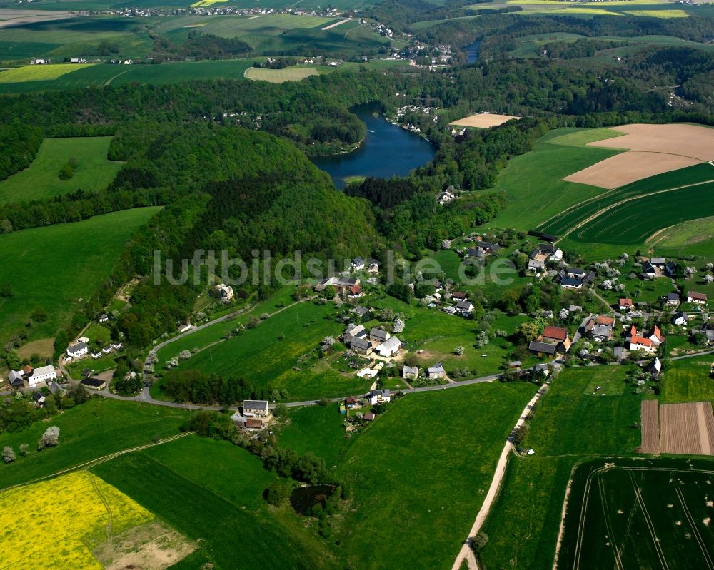 Lauenhain von oben - Dorf - Ansicht am Rande Waldgebieten in Lauenhain im Bundesland Sachsen, Deutschland