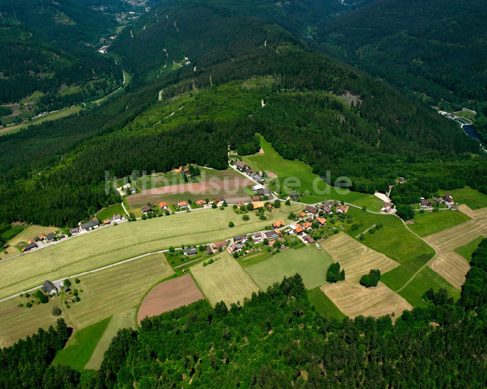 Meistern von oben - Dorf - Ansicht am Rande von Waldgebieten in Meistern im Bundesland Baden-Württemberg, Deutschland