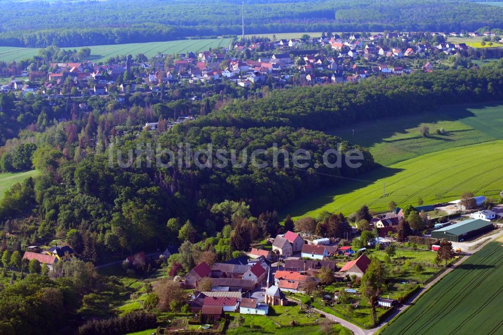 Möllendorf aus der Vogelperspektive: Dorf - Ansicht am Rande Waldgebieten in Möllendorf im Bundesland Sachsen-Anhalt, Deutschland