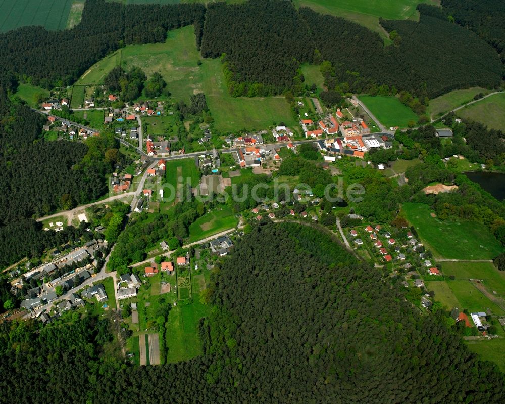 Möllensdorf von oben - Dorf - Ansicht am Rande Waldgebieten in Möllensdorf im Bundesland Sachsen-Anhalt, Deutschland
