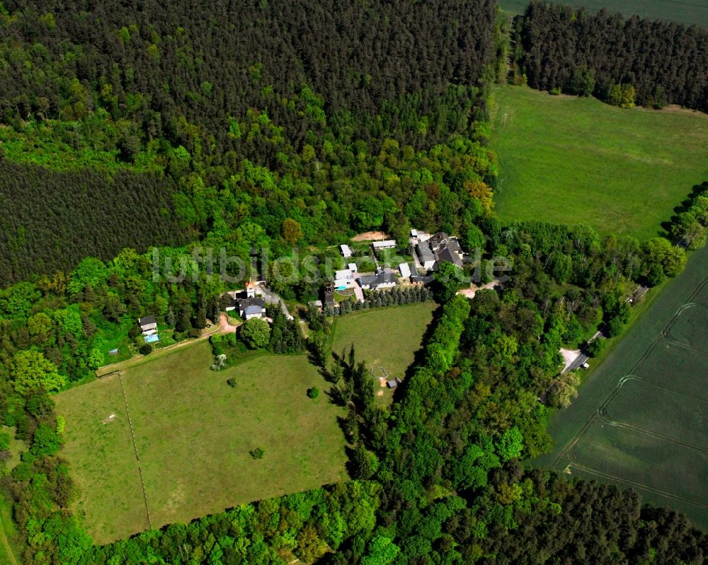 Möllensdorf aus der Vogelperspektive: Dorf - Ansicht am Rande Waldgebieten in Möllensdorf im Bundesland Sachsen-Anhalt, Deutschland