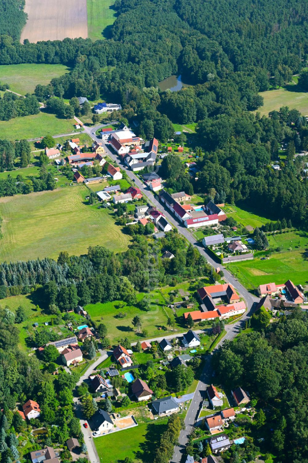 Luftaufnahme Möllensdorf - Dorf - Ansicht am Rande von Waldgebieten in Möllensdorf im Bundesland Sachsen-Anhalt, Deutschland