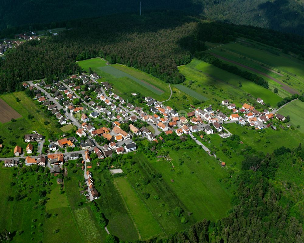 Luftaufnahme Monakam - Dorf - Ansicht am Rande von Waldgebieten in Monakam im Bundesland Baden-Württemberg, Deutschland