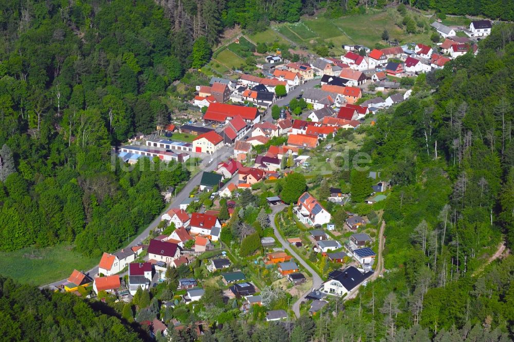 Luftaufnahme Morungen - Dorf - Ansicht am Rande von Waldgebieten in Morungen im Bundesland Sachsen-Anhalt, Deutschland