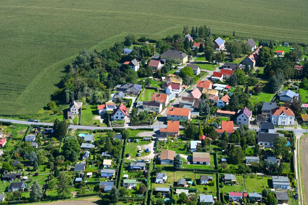 Neupoderschau von oben - Dorf - Ansicht am Rande von Waldgebieten in Neupoderschau im Bundesland Sachsen-Anhalt, Deutschland