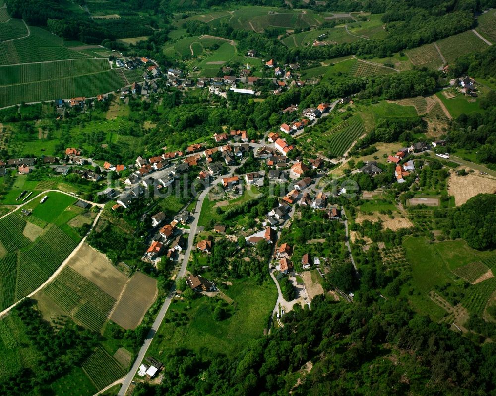 Neusatz aus der Vogelperspektive: Dorf - Ansicht am Rande Waldgebieten in Neusatz im Bundesland Baden-Württemberg, Deutschland