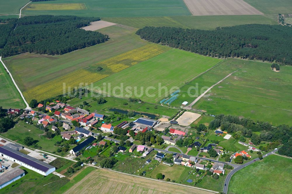Luftaufnahme Niederwerbig - Dorf - Ansicht am Rande von Waldgebieten in Niederwerbig im Bundesland Brandenburg, Deutschland