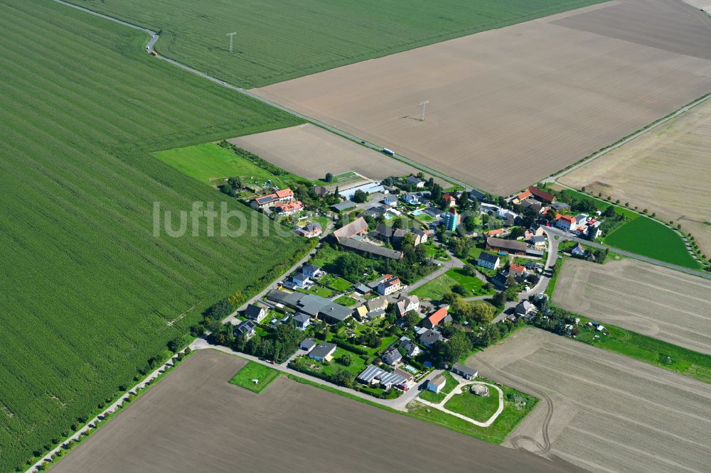 Luftbild Priesteblich - Dorf - Ansicht am Rande von Waldgebieten in Priesteblich im Bundesland Sachsen, Deutschland