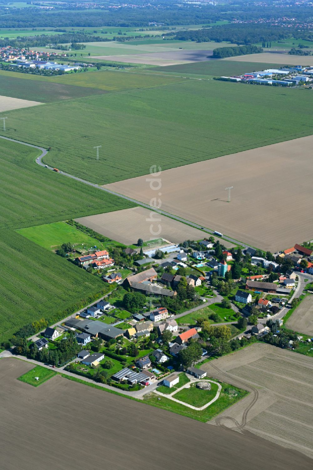 Luftaufnahme Priesteblich - Dorf - Ansicht am Rande von Waldgebieten in Priesteblich im Bundesland Sachsen, Deutschland